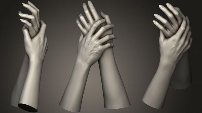 نموذج ثلاثي الأبعاد لآلة CNC تشريح الهياكل العظمية والجماجم أيدي الإناث 1